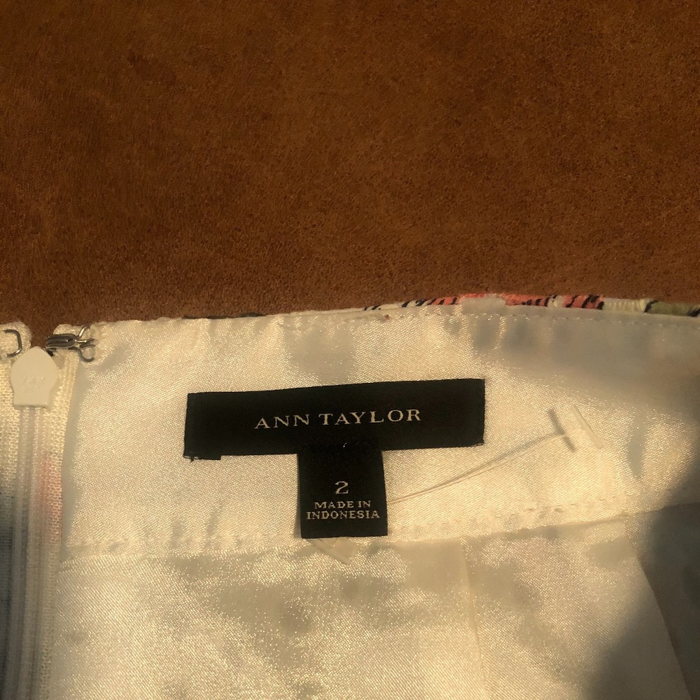 Ann Taylor skirt